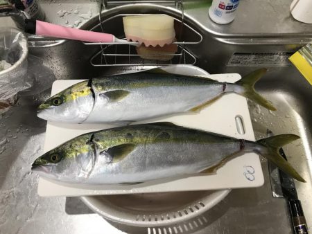 明石沖ジギング