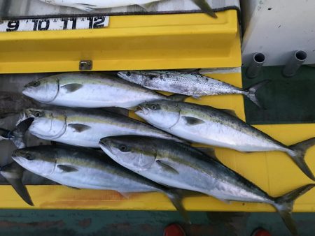 初メジロゲット！！