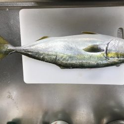 ベイトがいっぱい！