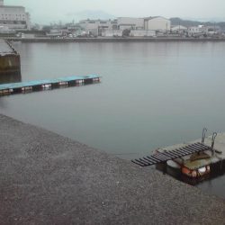 ジャンボアジ（尺アジ）4匹