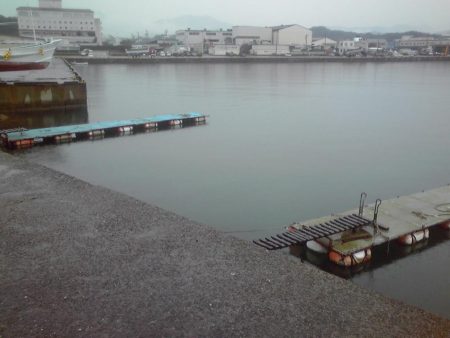 ジャンボアジ（尺アジ）4匹