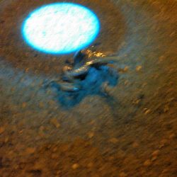 アジングですが