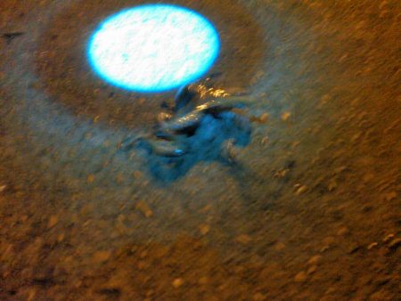 アジングですが