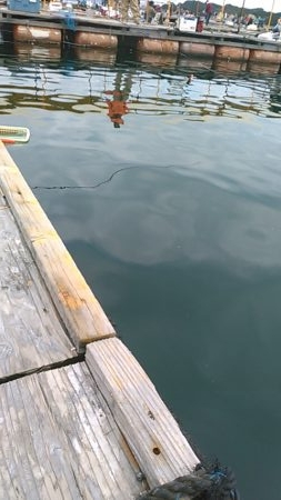 海上釣り堀水宝で青物狙い