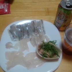 タイラバからの陸っパリ