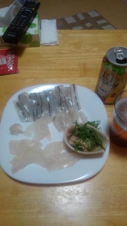 タイラバからの陸っパリ