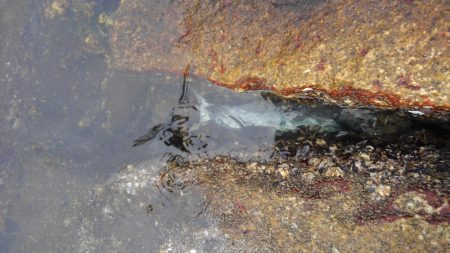 ストリンガーが