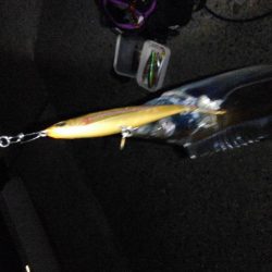 ダメダメからの救い