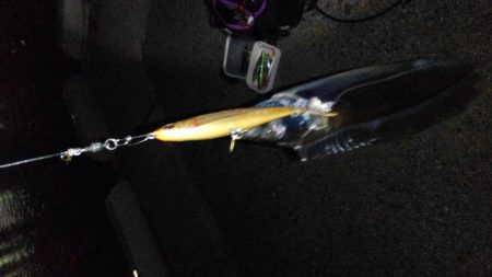 ダメダメからの救い