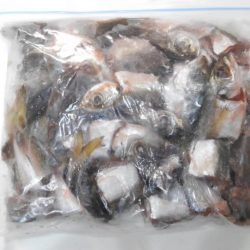 アカハタボート