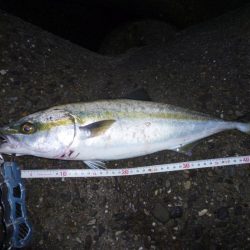 朝練(今週３回目）