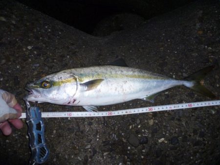 朝練(今週３回目）