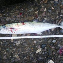 朝練　60分1本勝負！！