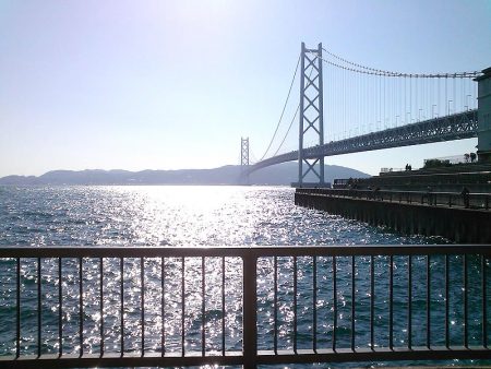 サヨリ入れ食い！