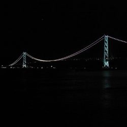 グレ2枚ゲット!