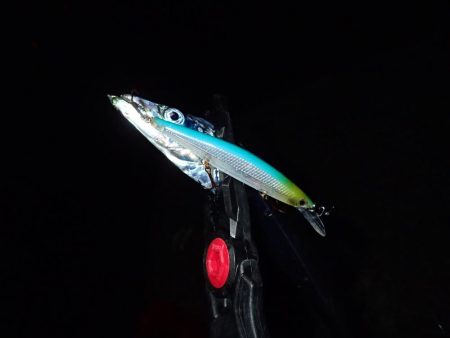 大人の夜遊び♪