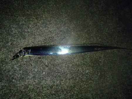 西宮ケーソン釣行