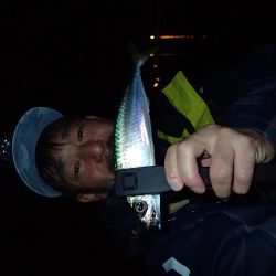 湾奧ジャンボを求めて！