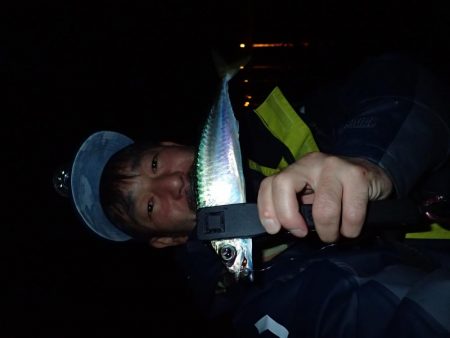 湾奧ジャンボを求めて！