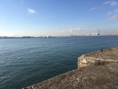 大阪岸和田忠岡の貯木場でヘチ釣り後にショアジギングでハマチをゲット！！