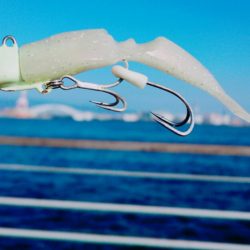 １週間ぶりにシーサイドコスモ