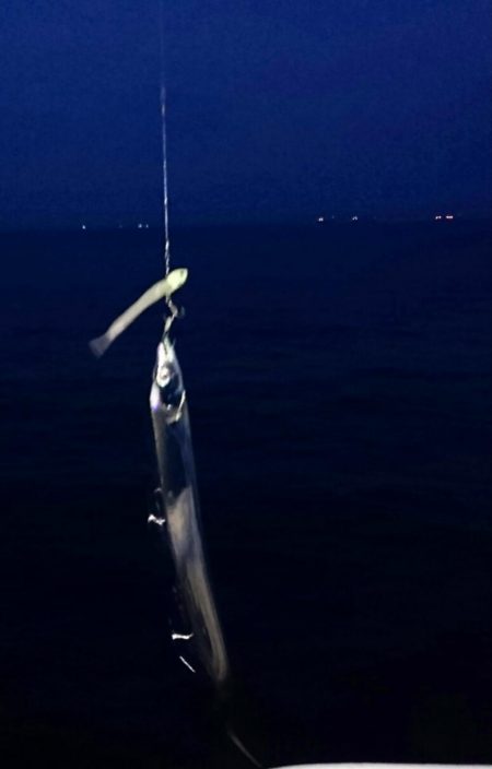 タチウオまだまだ好調持続中!