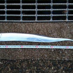 そろそろ渋めか!?