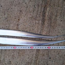 タチウオ渋いし小さい