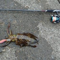 どうにか釣れました。