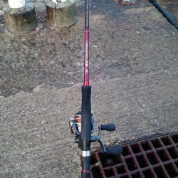 ◯やっぱり渋いな