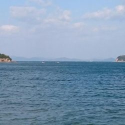 ランカー届かず！