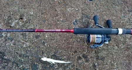 ◯タチウオこのまま終了か！？