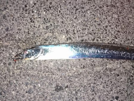 車のキーがぁ！！！