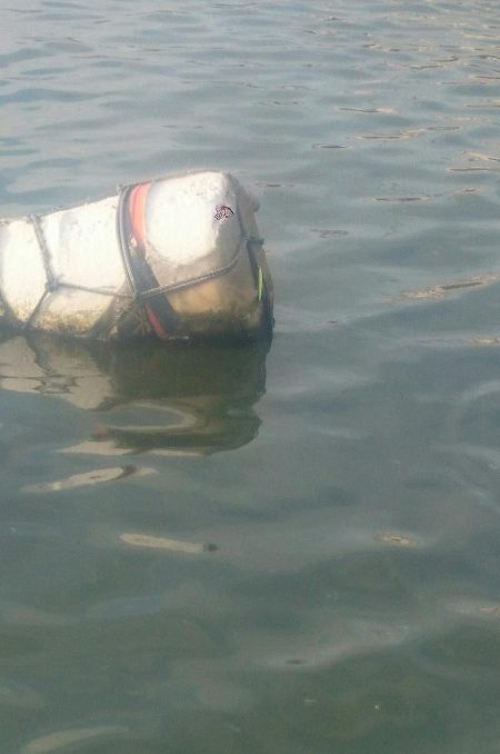 無念!!尺ハゼ捕獲ならず!!