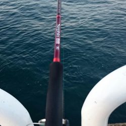 どんどん渋くなってます