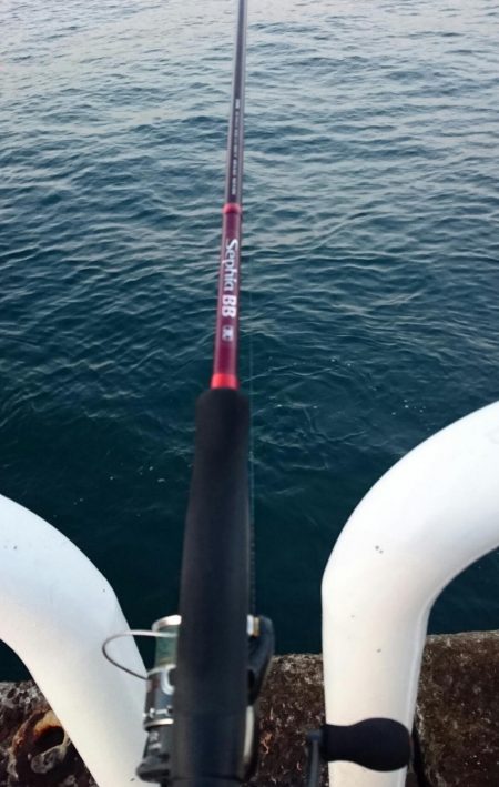 どんどん渋くなってます