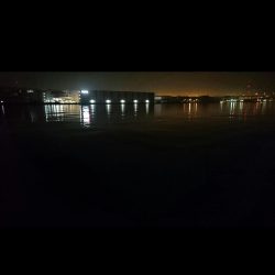 ◯湾奥タチウオ