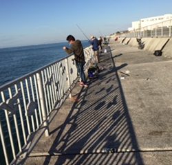 久しぶりの釣果はハマチ☆