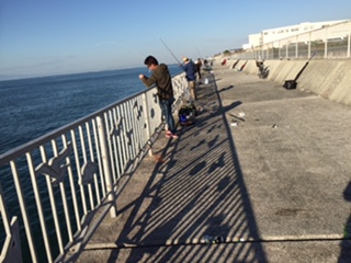 久しぶりの釣果はハマチ☆