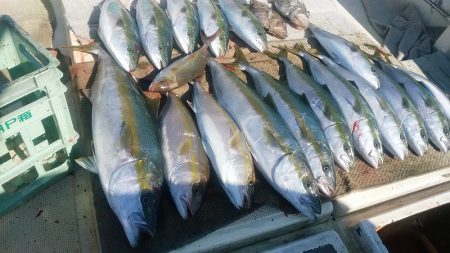 【光義丸：2017年１１/１５(水) 最新大物釣果速報】
