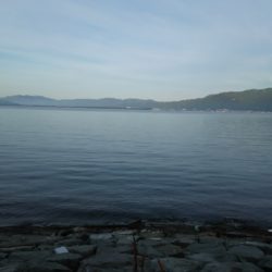 1杯のみだけど良型GET