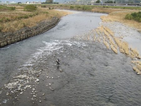 狩野川(狩野川漁業協同組合) 釣果