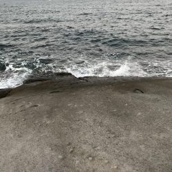 ３連休の人を避けて釣行するも、、、