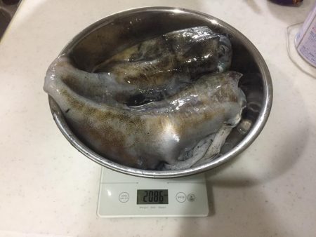 ひたすらエギング