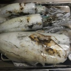 南紀でひさびさにキロアップ