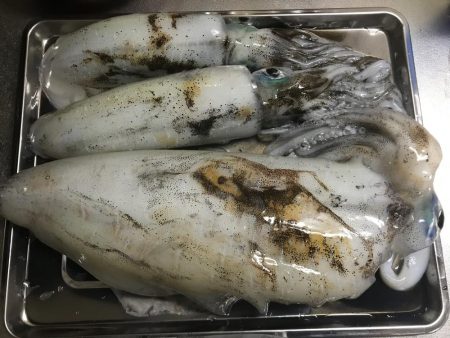 南紀でひさびさにキロアップ