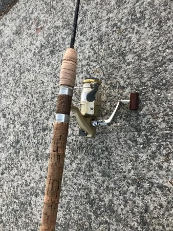 風が強く投げにくかったけど魚は居ます