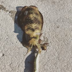 波風が厳しい時期に