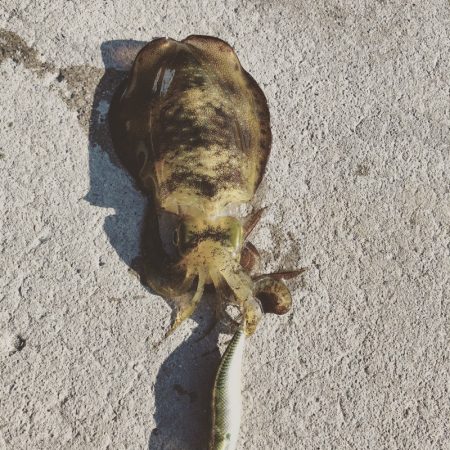 波風が厳しい時期に