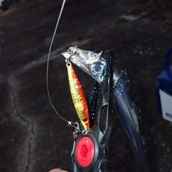 夢フィッシングさんで沖堤防！